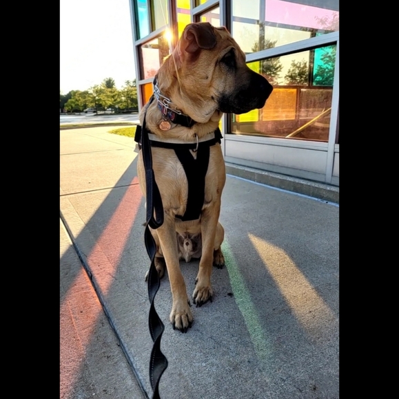 Welcome to my closet! - Picture 3 of 16